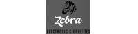 Electric Zebra discount codes
