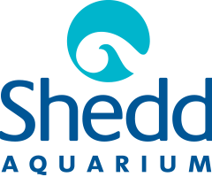 Shedd Aquarium discount codes