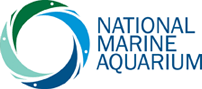 National Marine Aquarium discount codes