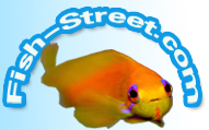 Fish Street discount codes