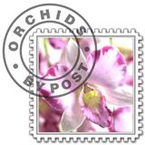 Orchids by Post discount codes