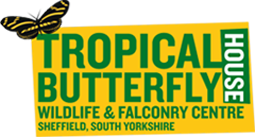 Tropical Butterfly House discount codes