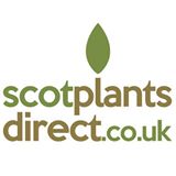 Scot Plants Direct discount codes
