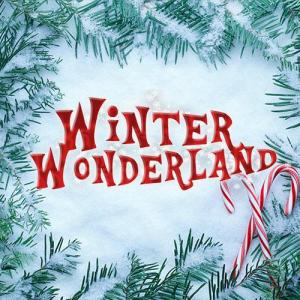 Winter Wonderland Manchester discount codes