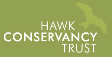 Hawk Conservancy Trust discount codes