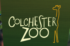 Colchester Zoo discount codes