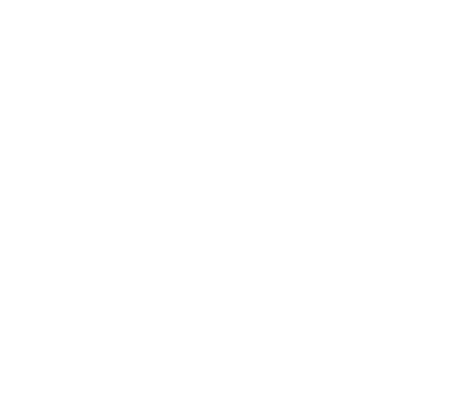 Flight Fins discount codes