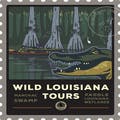 Wild Louisiana Tours discount codes