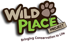 Wild Place discount codes