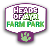 Heads Of Ayr Farm Park discount codes