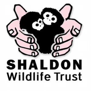 Shaldon Zoo discount codes