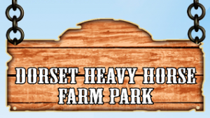 Dorset Heavy Horse Centre discount codes
