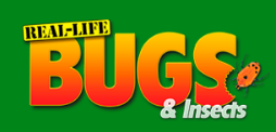 Real life Bugs discount codes