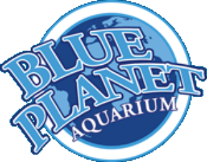 Blue Planet Aquarium