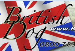 Britishdog.net discount codes