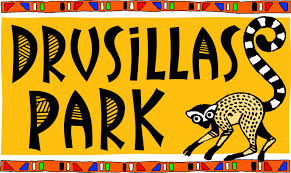 Drusillas Park discount codes