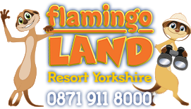 Flamingo Land