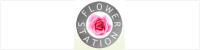 Flower Station discount codes