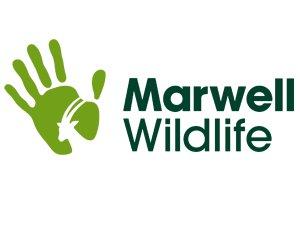 Marwell Wildlife