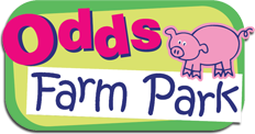 Odds Farm Park discount codes