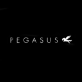 Pegasus Menswear discount codes