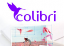 colibri discount codes