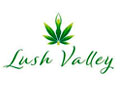 Lush Valley CBD discount codes