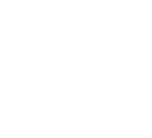 Flight Fins