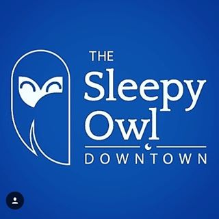 Sleepy Owl