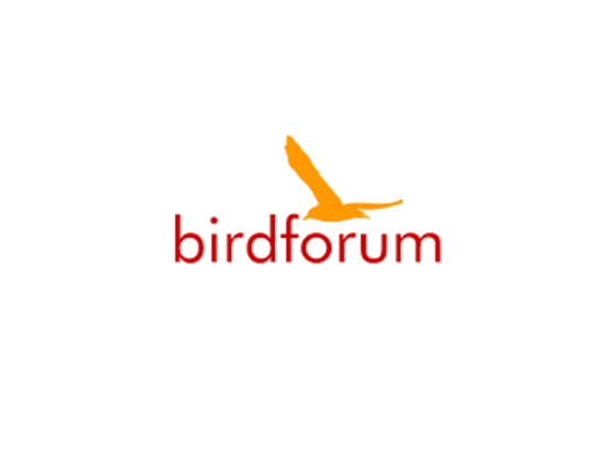 Free Bird Forum Shop discount codes