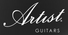 Artist Guitars NZ discount codes