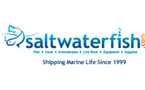 Saltwaterfish discount codes