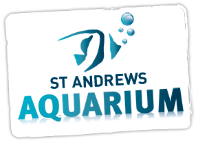 St Andrews Aquarium discount codes
