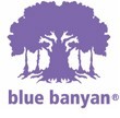 Blue Banyan discount codes