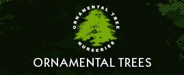 Ornamental Trees discount codes