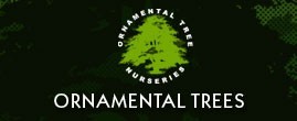 Ornamental Trees