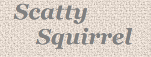 Scatty Squirrel discount codes