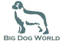 Big Dog World discount codes