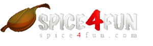 Spice4Fun discount codes
