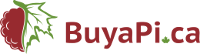 Buyapi.ca discount codes