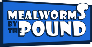 Mealworms by the Pound discount codes