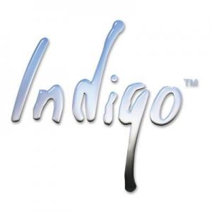 Indigo discount codes