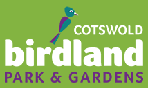 Birdland discount codes