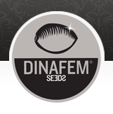 Dinafem discount codes