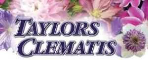 Taylors Clematis discount codes
