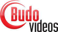 Budovideos discount codes