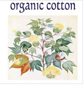 Organic Cotton