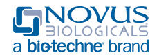 Novus Biologicals