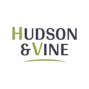 Hudson & Vine discount codes