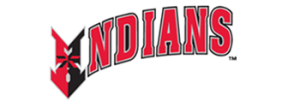 Indianapolis Indians discount codes